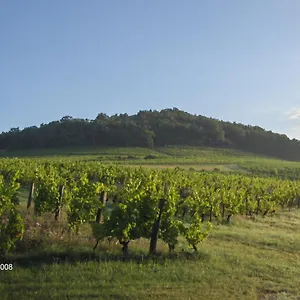 La Maison Du Vigneron Hébergement de vacances